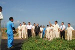 早朝にもかかわらず、焼けつくような暑さ。「休み明けののんびりした空気も吹き飛びます」(参加者)