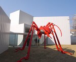 十和田現代美術館で常設展示されている椿昇の作品「aTTa」。