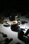 二の丸美術の木下コレクションの贅をつくした根付の数々がくっきり見える。(写真:掛川現代美術研究会)