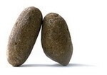 利益率は一時点での静的な数字でしかない
