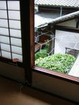 「水都大阪2009」水都アート回廊で、適塾に展示されている今村源の作品。現代アート作品を巡りながら、歴史にも触れる。適塾では、たった1冊の辞書でオランダ語をたくさんの若者が独学した。
