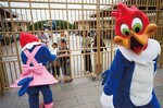 この日は8時45分開場。入り口には長蛇の列ができており、開場と同時に駆け出すお客も多数いた。