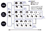 図3:AGAの進行パターンと抜け毛レベル