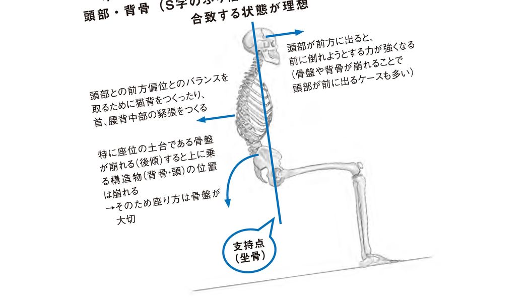 だから現代人の"疲労回復力"はどんどん落ちている…理学療法士が警鐘｢身体が固い｣｢座りすぎ｣の怖さ 血流が低下し疲労物質の排出が遅れる