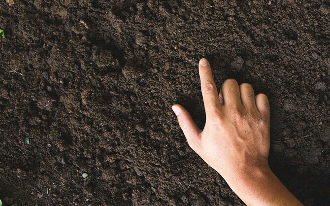 ローム質の土壌に触れます