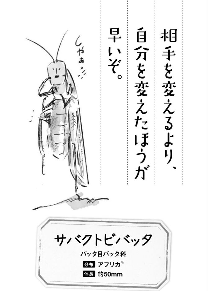 サバクトビバッタの自己紹介