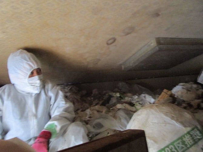 天井近くまでゴミが積み上がっていたため、上からゴミを崩すことに。