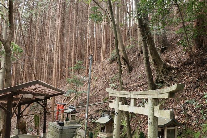 雌嶽東側の断崖。その上は削平された曲輪