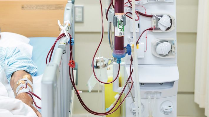 靴下の跡が残る人は要注意…「沈黙の臓器」腎臓の機能が悪化した時に出る"危険な兆候"