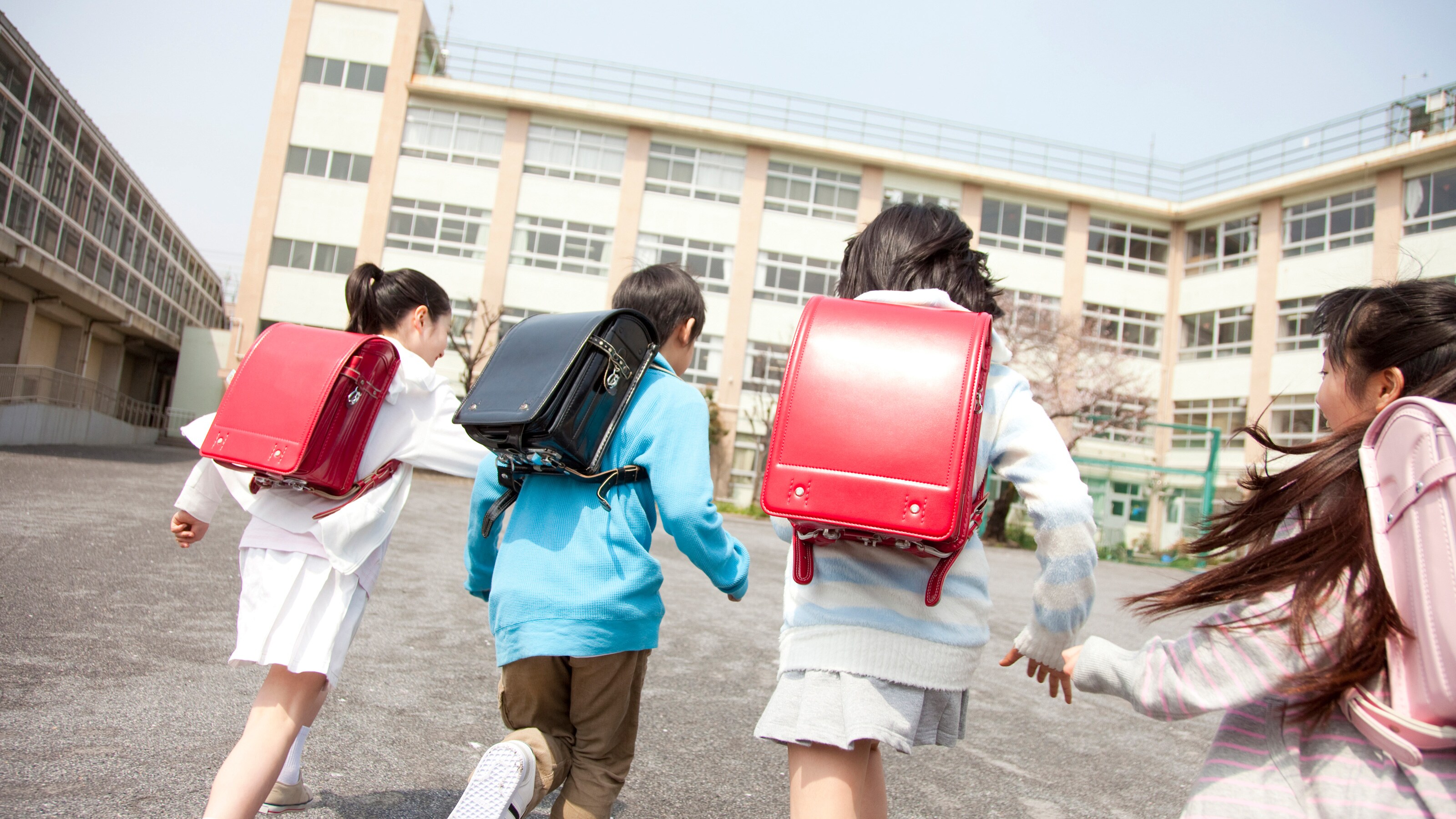 無課金でも｢頭のいい子｣に育つ…医師､弁護士､会計士になった