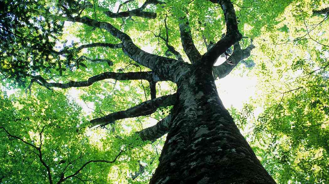 スマホが孤独時間=自己対話の機会を奪い去る…｢現実｣｢自分｣から逃げ続ける人が人に優しくなれないワケ ニーチェ｢君たちはみな激務で自分を忘れ自分自身から逃げようとしている｣