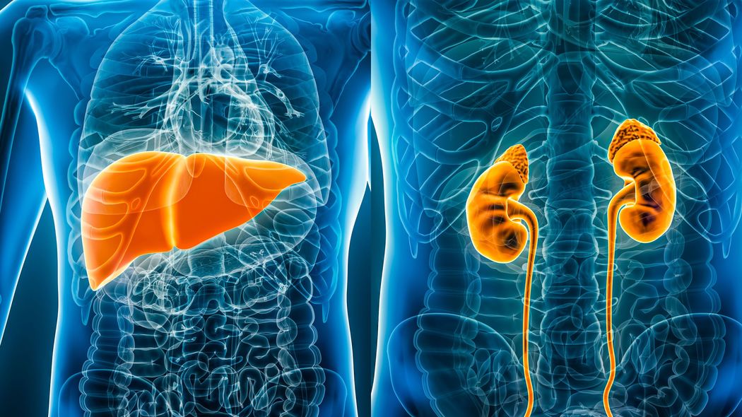 ｢減塩をがんばる人｣は自ら寿命を削っている…100歳までちゃんと使える｢肝臓&腎臓｣5つの新常識 よかれと思って実践している健康習慣､実はまったくの"逆効果"だった