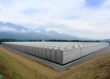 元金融マンが農業で繰り返した小さな「挑戦と失敗」