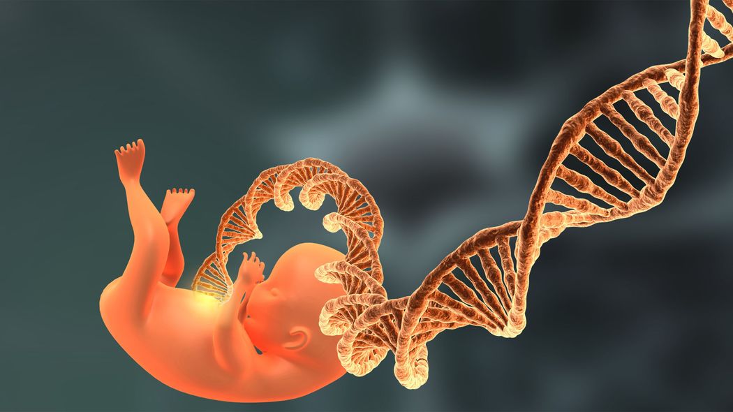 ｢親ガチャ｣を過小評価してはいけない…双子研究が解き明かした"教育は遺伝に勝てるか"の最終結論 ｢勉強ができない=本人の努力不足｣はあまりに理不尽