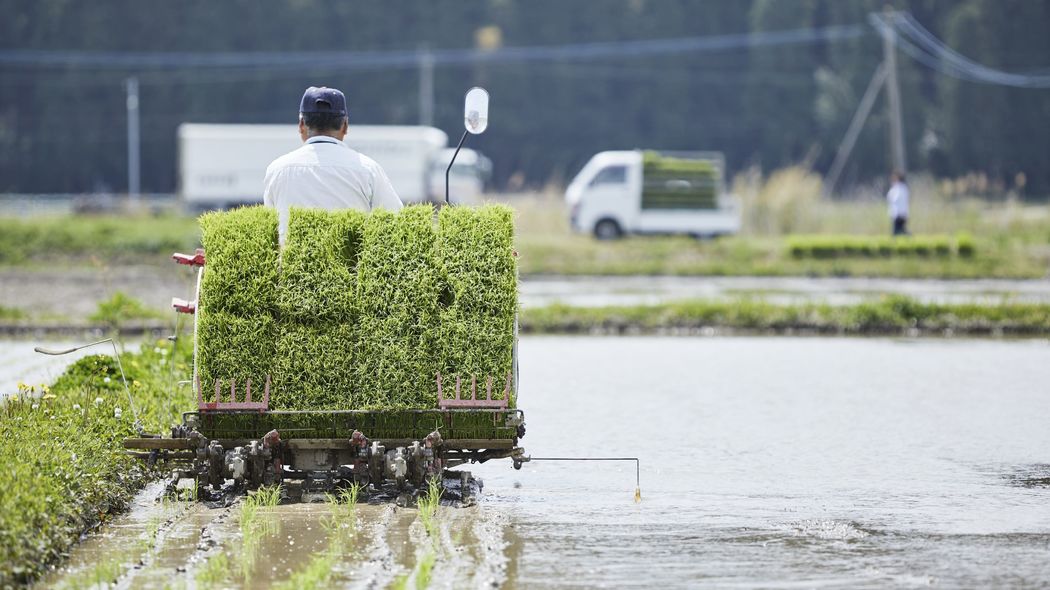｢コメの値段を下げたくない｣農水省の減反実態・｢愛子天皇待望論｣が高まる本当の理由・関税の代わりにトランプ大統領が欲しがる"日本の技術" 編集者が選ぶ今週の3本