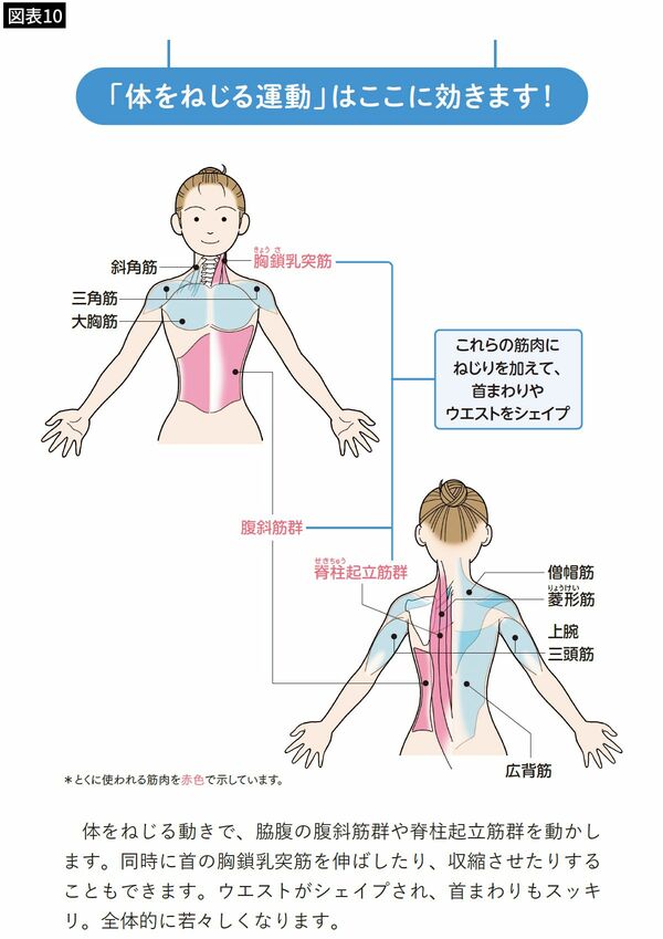 【図表10】腹筋や背筋、首の筋肉を刺激することで、ウエストや首回りをスッキリさせる効果も期待できる