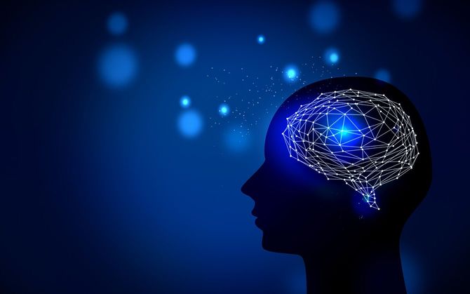 脳内のイメージ