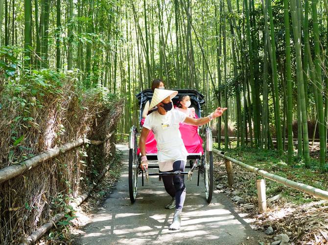 竹林を進む人力車