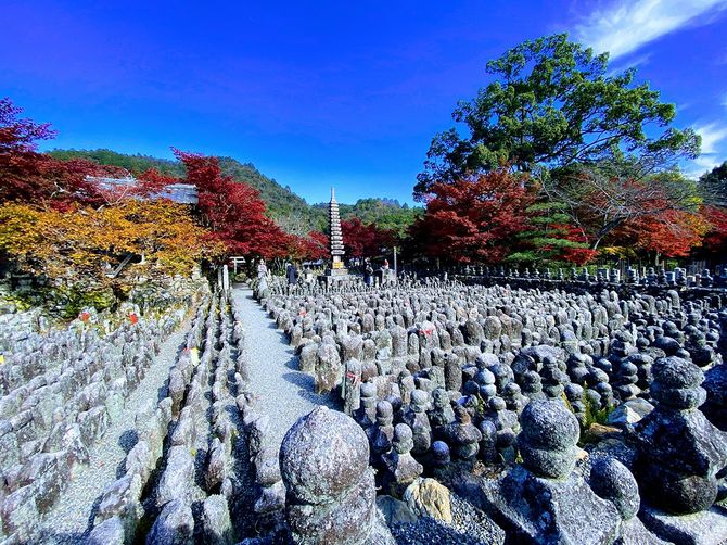 京都・化野念仏寺の無縁地蔵群