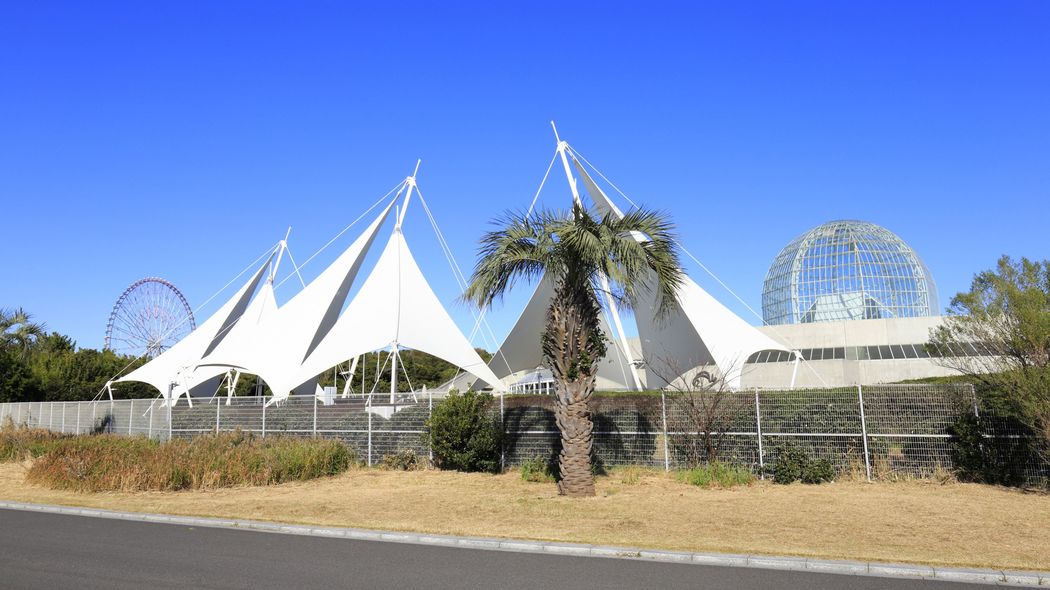 ｢泳ぎ続けなければ呼吸が止まる｣クロマグロを大迫力で見られる…海洋生物学者が惚れ込んだ"関東の水族館" 関東地方の水族館"プロの見どころ"を紹介