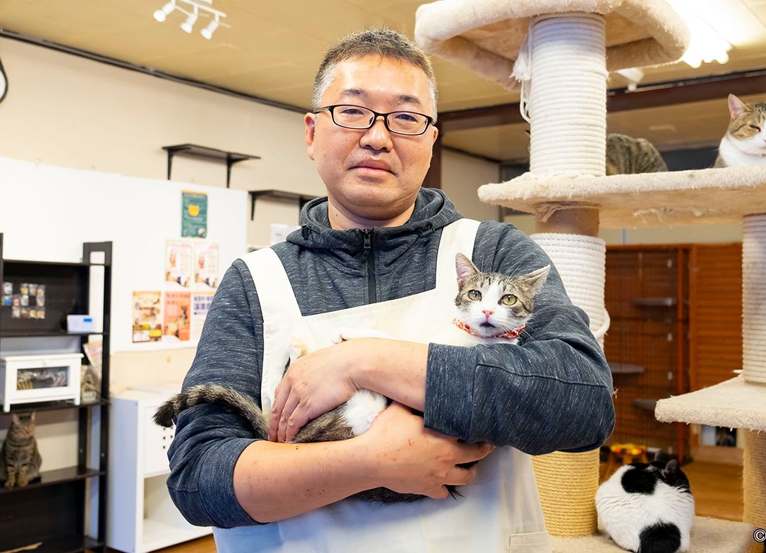 自分より猫が大事な猫カフェ店主の暮らし これまで救った猫は1000匹以上 President Online プレジデントオンライン
