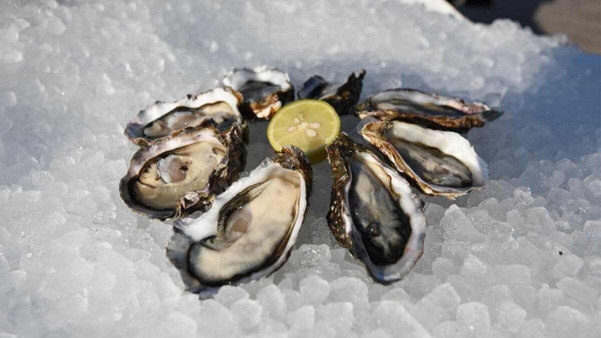 中田塩成 社長ご挨拶 | 会社情報 | ジャパンマテリアル株式会社