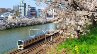 ｢三軒茶屋や武蔵小山でも家賃6万円台は探せる｣東京近郊で1人暮らしなら知っておきたい"住人評価が高い路線"