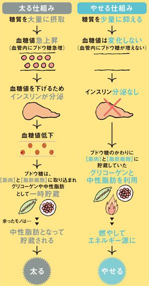 血糖値 を制する者がダイエットを制す President Online プレジデントオンライン