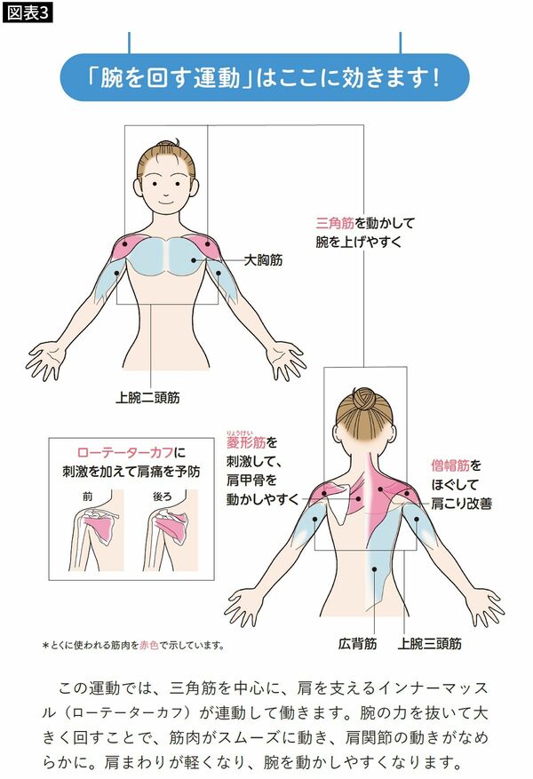 【図表3】肩回りの筋肉を連動して使うため、首・肩・肩甲骨回りがほぐれ、肩こりの改善が期待できる