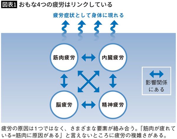 【図表1】おもな4つの疲労はリンクしている
