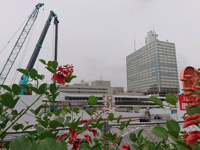 NHK放送センターは今改築工事中