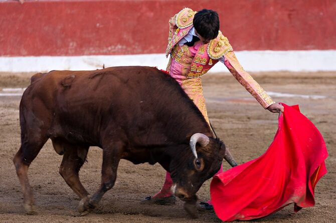闘牛士とアクションで雄牛。スペイン