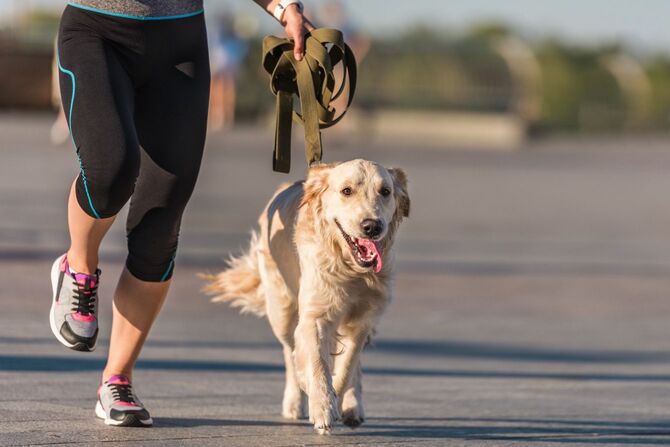 犬とジョギングをする女性
