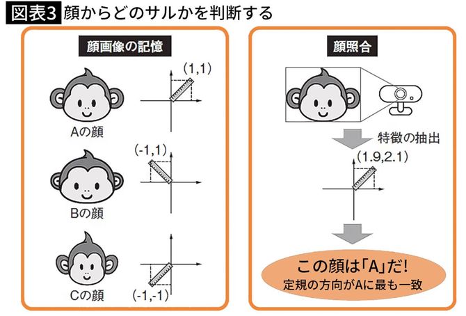 【図表3】顔からどのサルかを判断する