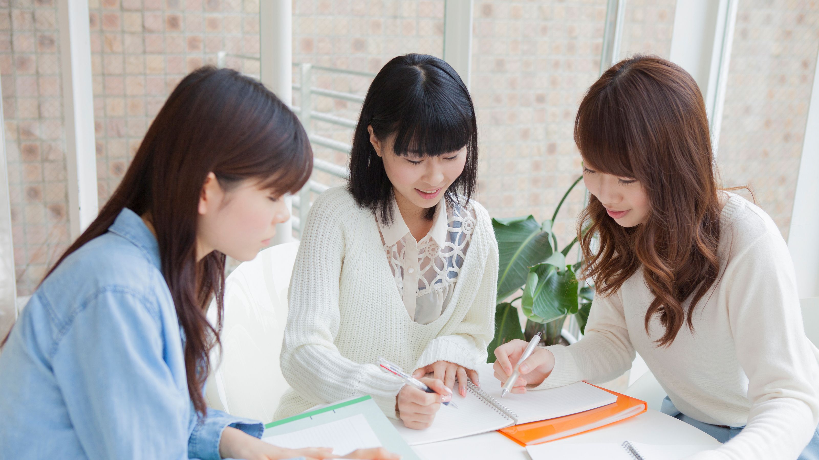 最近キレイになった早稲女 プライド高すぎ慶応ガールのトリセツ 慶応生から学歴を取ると魅力0疑惑 President Online プレジデントオンライン