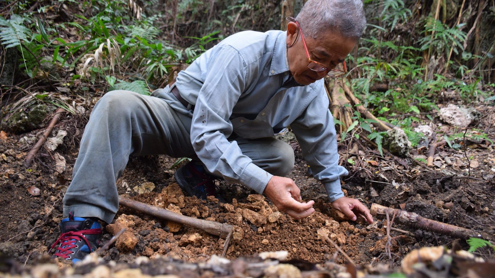 ｢沖縄の基地問題は､私たち全員の問題だ｣イェール大学に通う日本人学生の訴え 遺骨を含む土地を基地建設に流用か