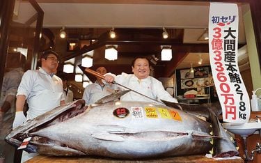初競り最高額3億3360万円…それでも