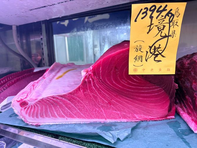 今年6月下旬、高橋さんが下付けで選びキタニ水産社長が競り落とした境港産の本マグロ