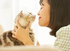 安心できる相手