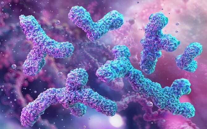 乳酸菌の3Dイメージ