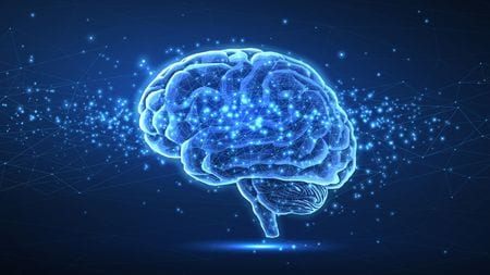 SURVIVORSHIP.JP -がんと向きあって-｜がんの脳への転移と日常生活｜脳 