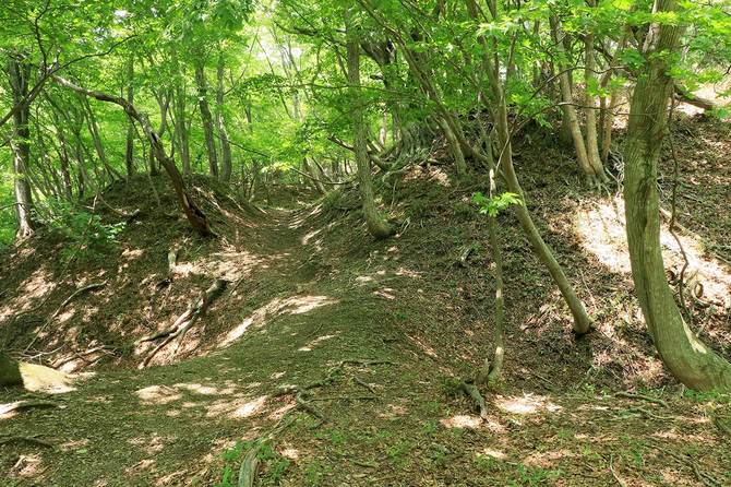 二の丸虎口を外側から眺めたところ