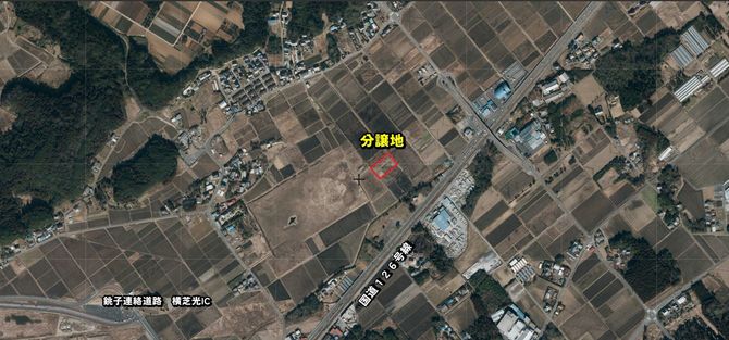 横芝光町母子にある放棄分譲地周辺の航空写真。国道に面しているわけでもなく、周囲には水田と沼しかない。
