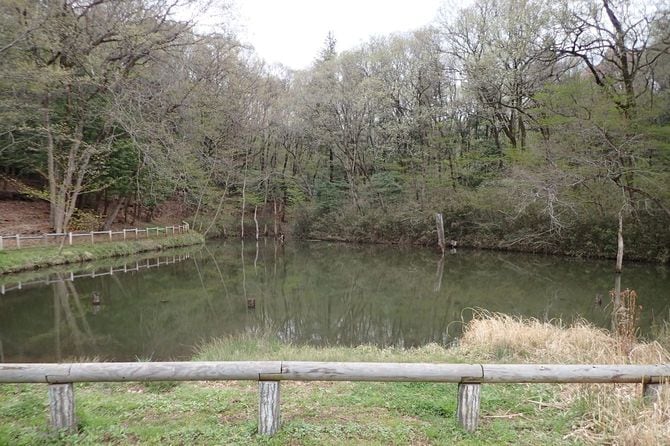 桜沢池