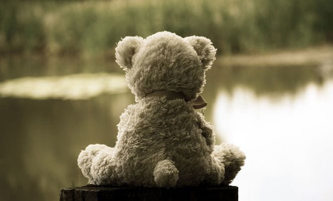 湖のほとりに座るテディベアの後ろ姿