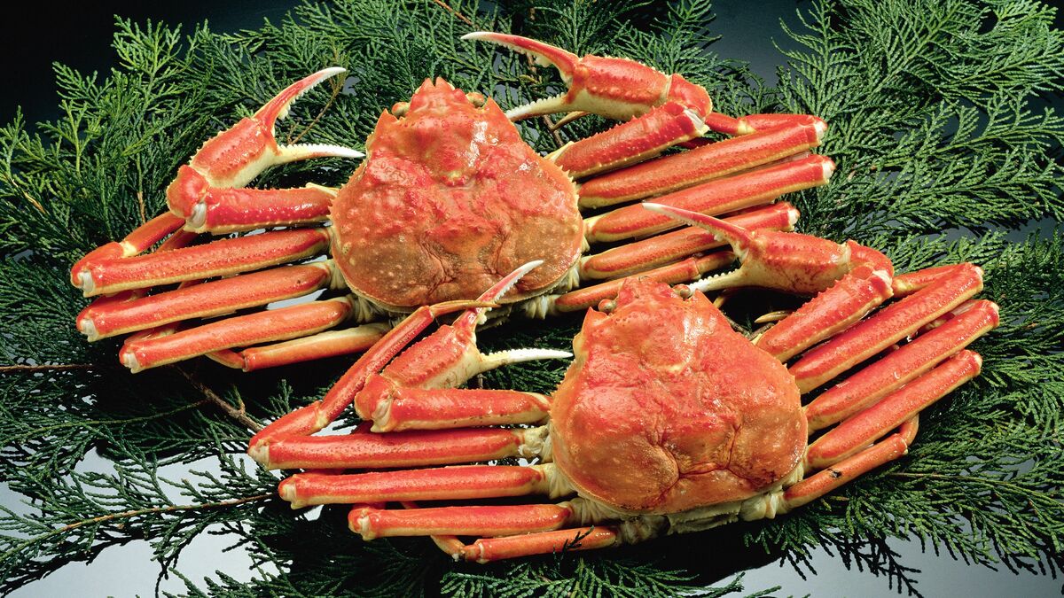 日本人の｢カニ離れ｣が拍車をかけている…庶民には手が届かない高級食材となった｢カニバブル｣の末路 回転寿司チェーンではカニかまが定番に (4 ...