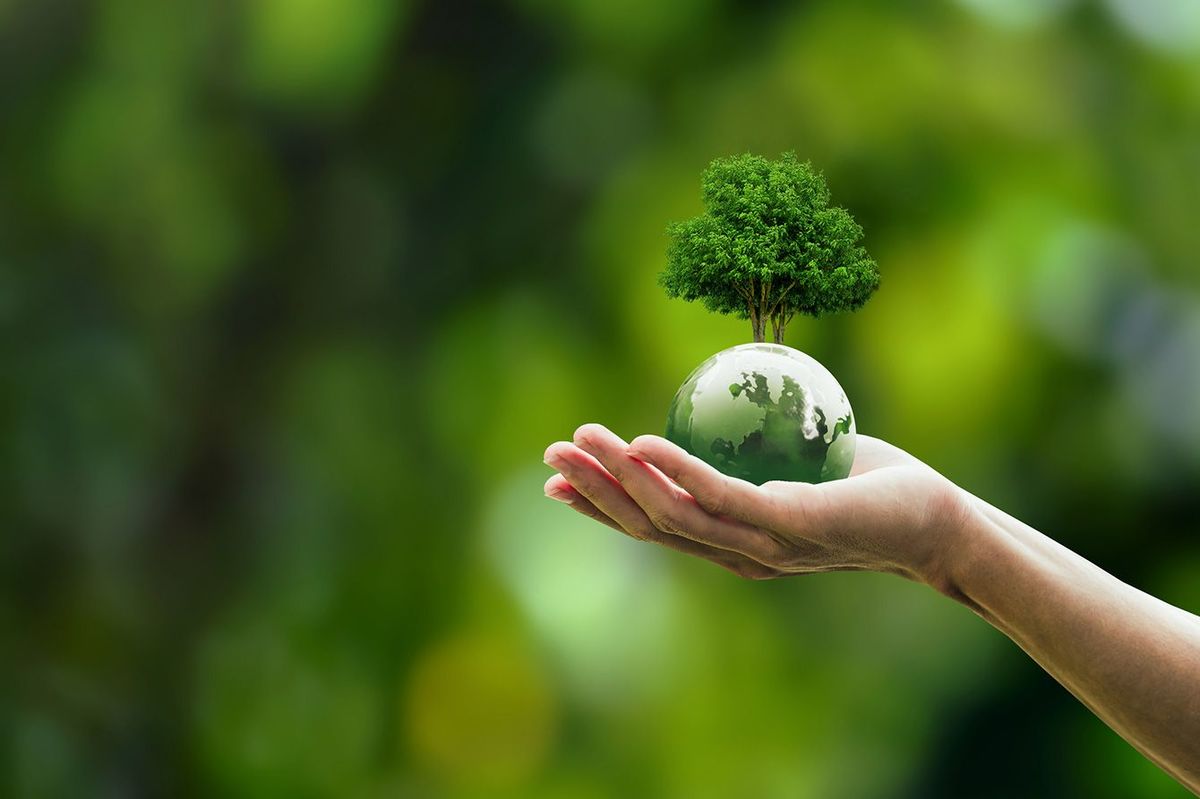 木が生えている小さい地球を持つ人の手