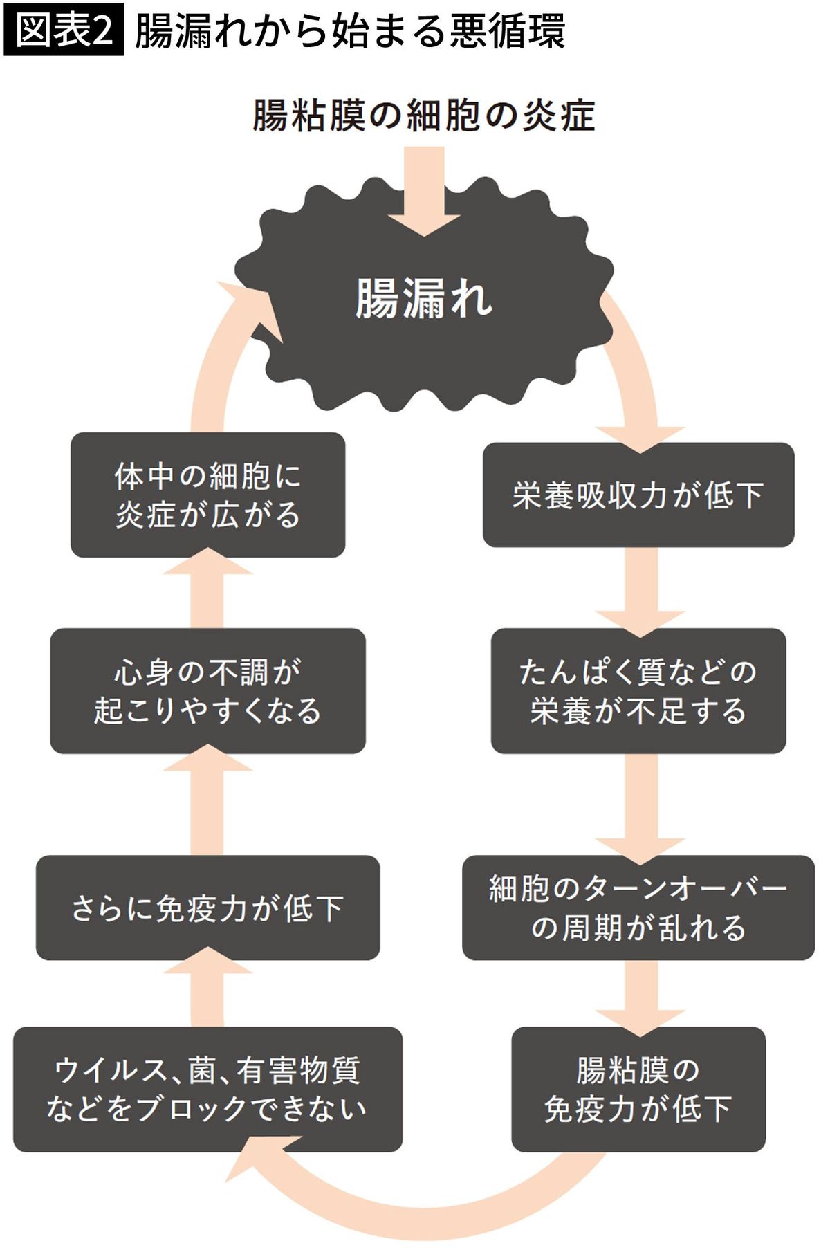 【図表2】腸漏れから始まる悪循環