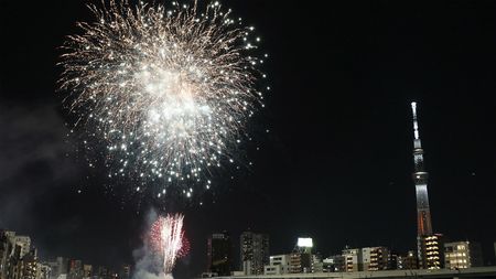 2024隅田川花火大会【少年野球場】2枚セットオデッセイホワイト 2024隅田川花火大会【少年野球場】2枚セットオデッセイホワイト