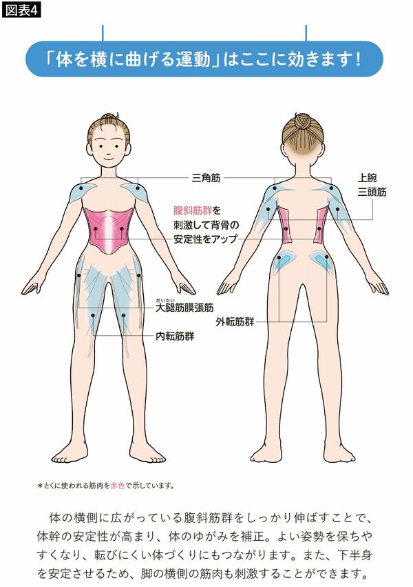 【図表4】「体を横に曲げる運動」をいすることで、体幹が鍛えられ、転びにくい体になっていく